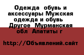 Одежда, обувь и аксессуары Мужская одежда и обувь - Другое. Мурманская обл.,Апатиты г.